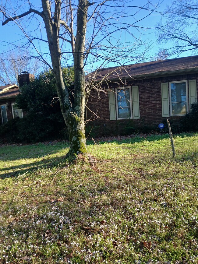 Building Photo - 100 Old Highway 64