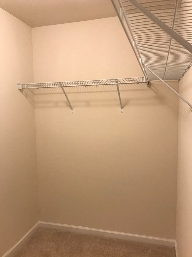 Building Photo - BEAUTIFUL! 4 Bedrooms/3.5 baths in Wild Wing. Spacious & Tons of space!