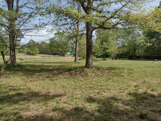 Building Photo - 10825 AL-67