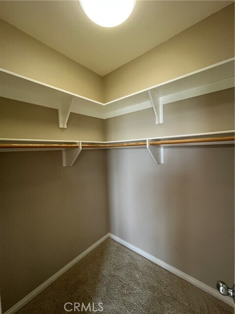 Building Photo - 2884 Bella Ct