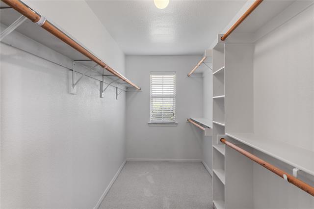Building Photo - 141 Shumard Dr