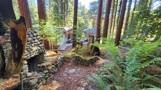 Building Photo - 50% off 1st months rent!! Beautiful Boulder Creek Redwood Home!