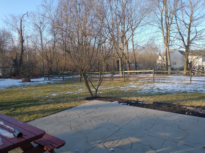 Back Yard - 1445 Urlage Dr