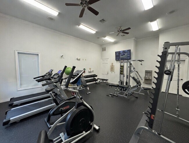 Building Photo - 12707 Boheme Dr