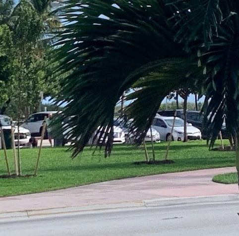 Building Photo - 6490 Collins Ave