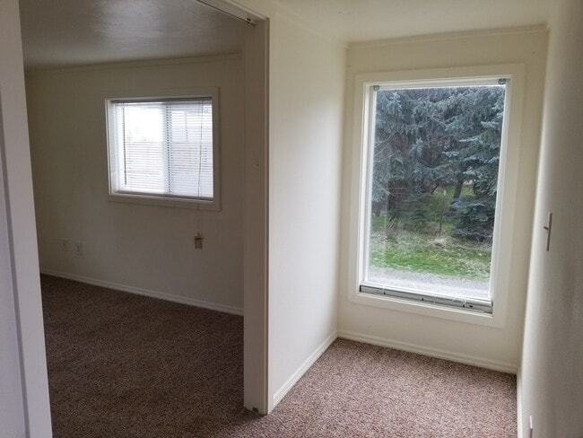 Building Photo - 295023