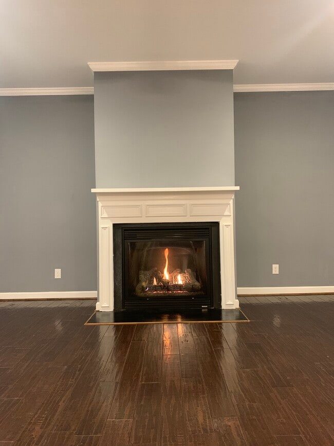 Gas Fireplace - 2829 Carriage Meadows Dr