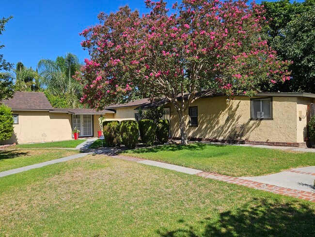 Front Yard - 3851 Oakdale St