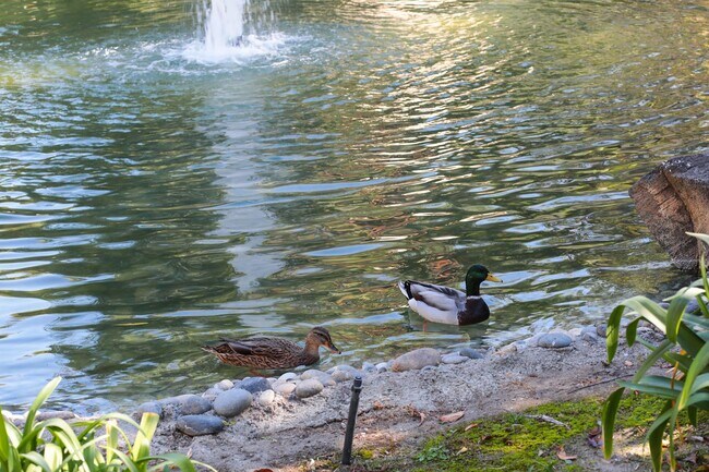 Building Photo - Central Santa Clara Location