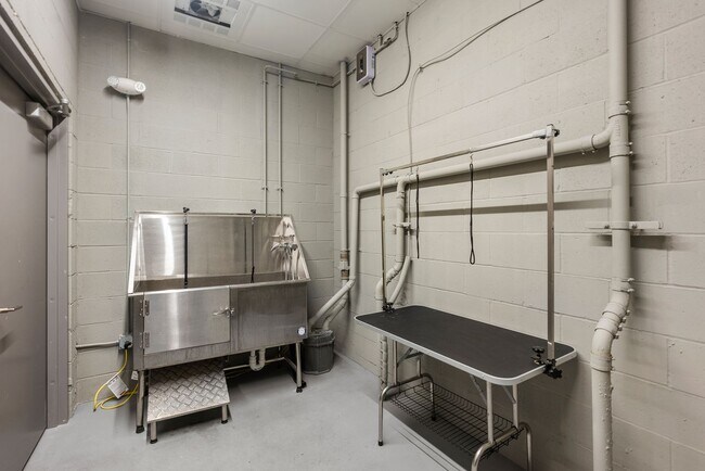 Building Photo - SEPTEMBER 1 - Jamaica Plain luxury 2 BR wi...