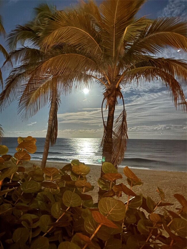 Building Photo - 1370 S Ocean Blvd