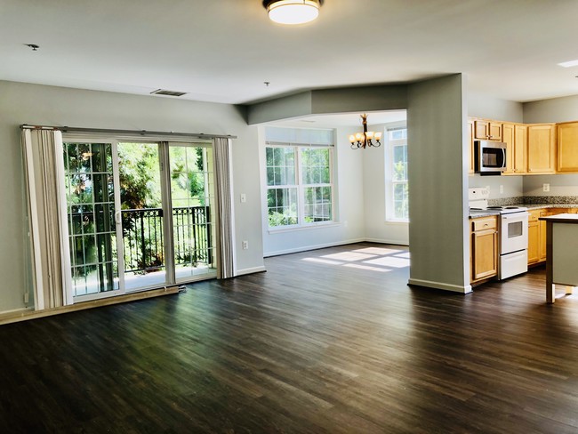 open space - 2729 Gallows Rd