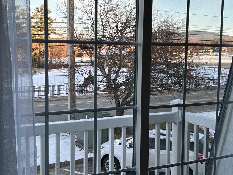 Overlooks Opechee Park - 934 N Main St