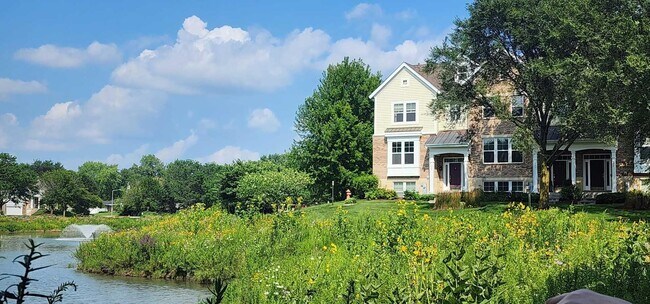 Building Photo - 982 Indigo Ct