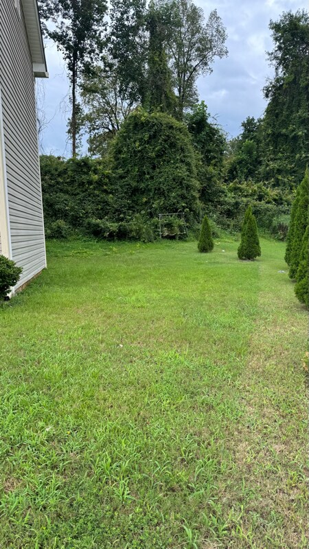 Building Photo - 4809 Tuong Yen Ct