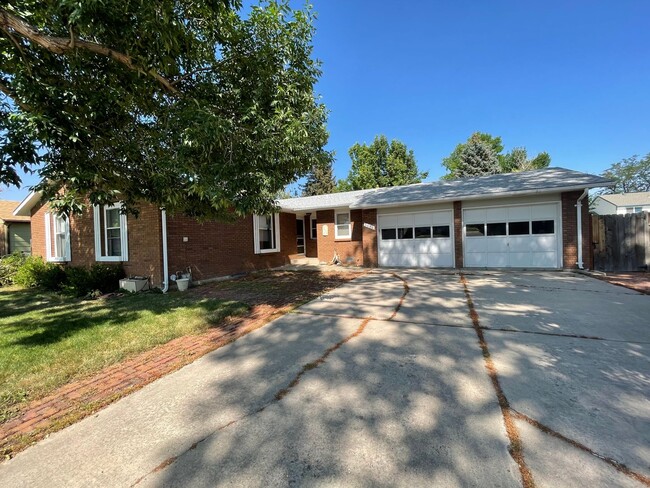 Primary Photo - Great Home in Fort Collins