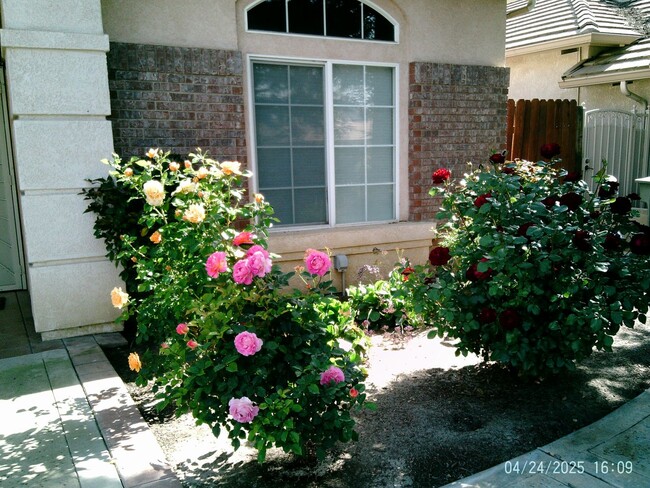 Building Photo - SW SPLIT WING BEAUTY !!! SPECIAL! $3097.50...