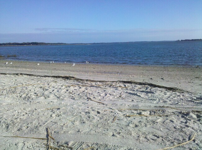 Building Photo - 1105 13th St