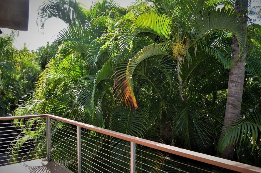 Building Photo - 3264 Keha Dr