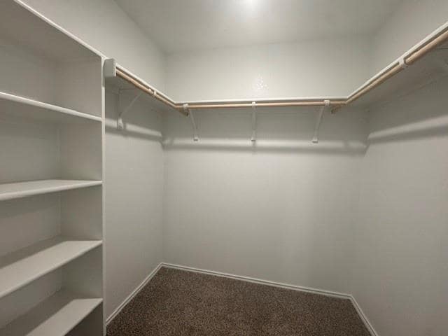 Building Photo - 190 Celosia Lp
