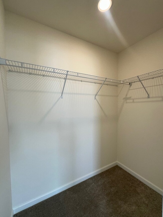 Building Photo - 2320 Horseshoe Cir