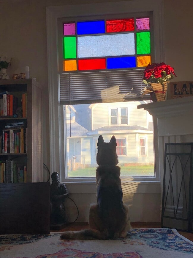 Building Photo - Elizabeth