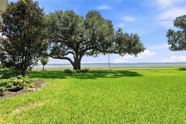 Building Photo - 3325 Bayshore Blvd