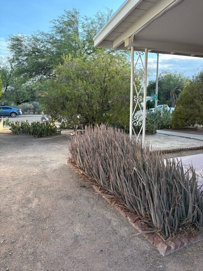 Building Photo - 2 bedroom, 1 bathroom house near Universit...