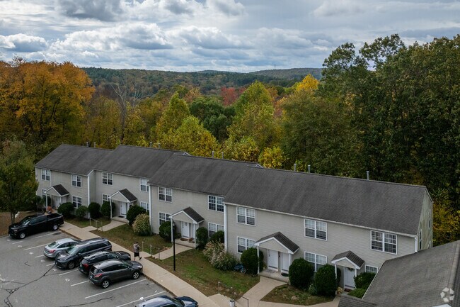 Alternate - Norwich Woods