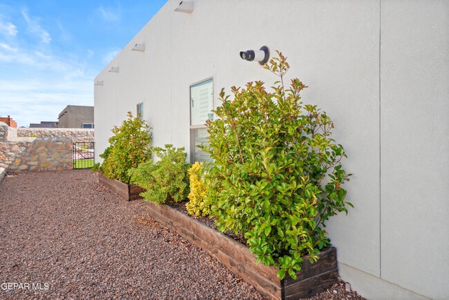 Building Photo - 14709 Tierra Garcia Dr