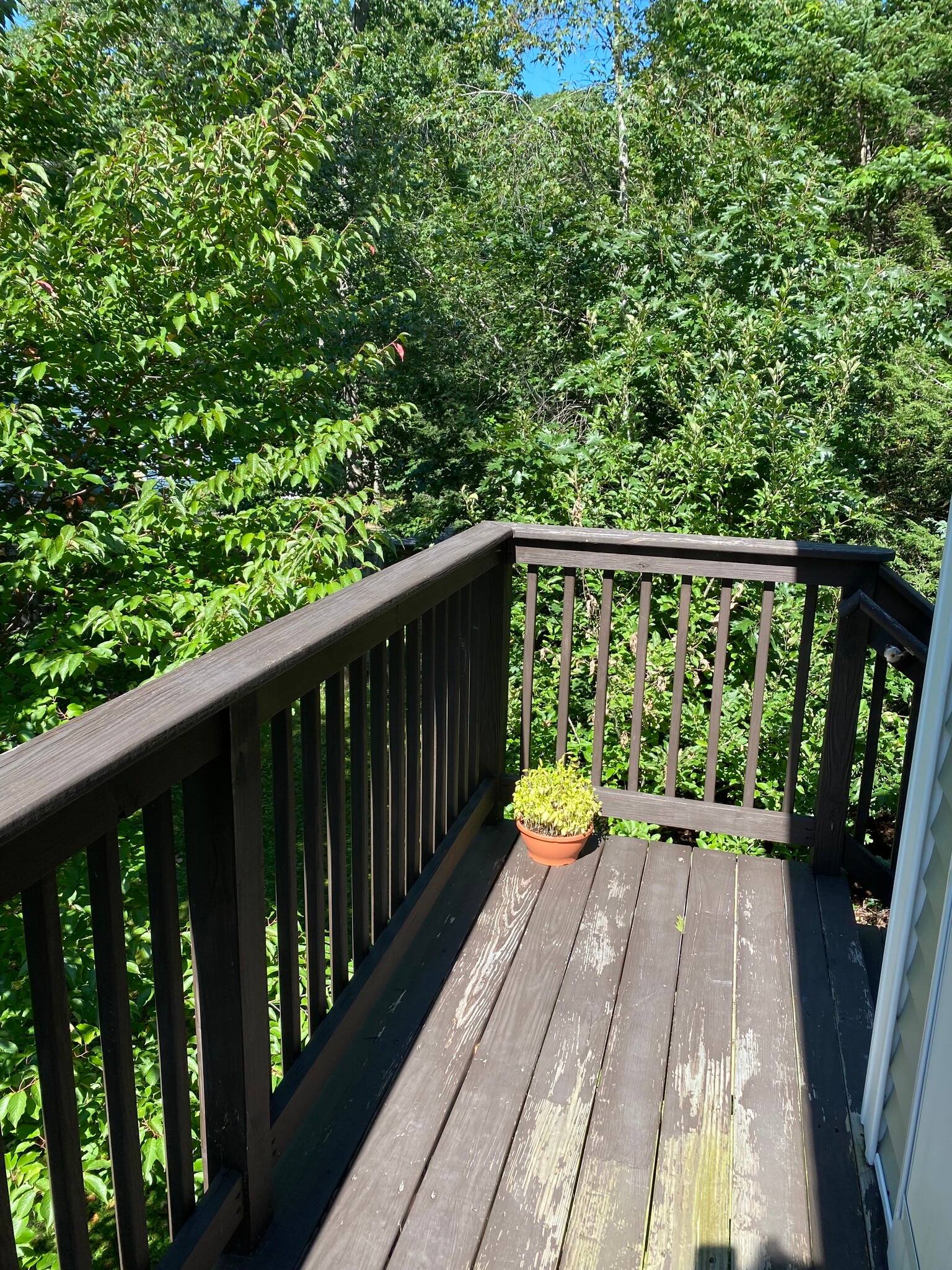 Building Photo - 84 Guinea Rd