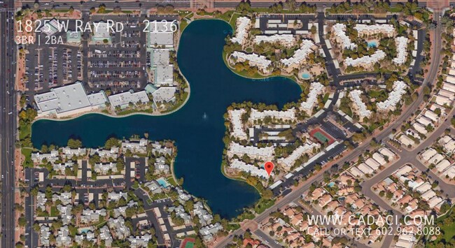 Building Photo - 1825 W Ray Rd