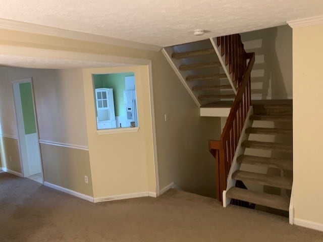 Building Photo - 1227 Athens Ct