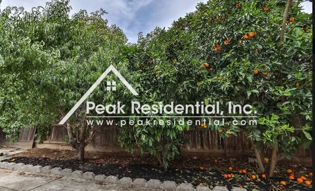Building Photo - Spacious Elk Grove 4bd/2ba Home with 2 Car...