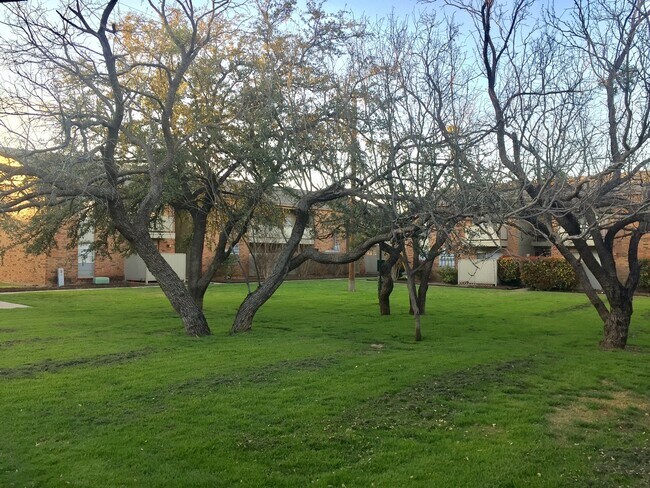 Building Photo - Mesquite Square - close to HSU, ACU, TTUHSC