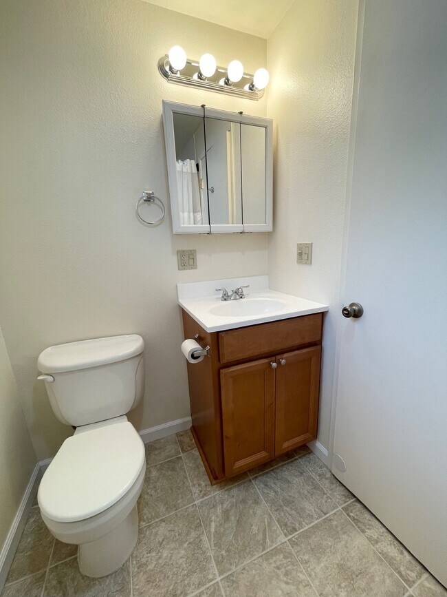 Hall bathroom - 19670 NW Pondosa Ct