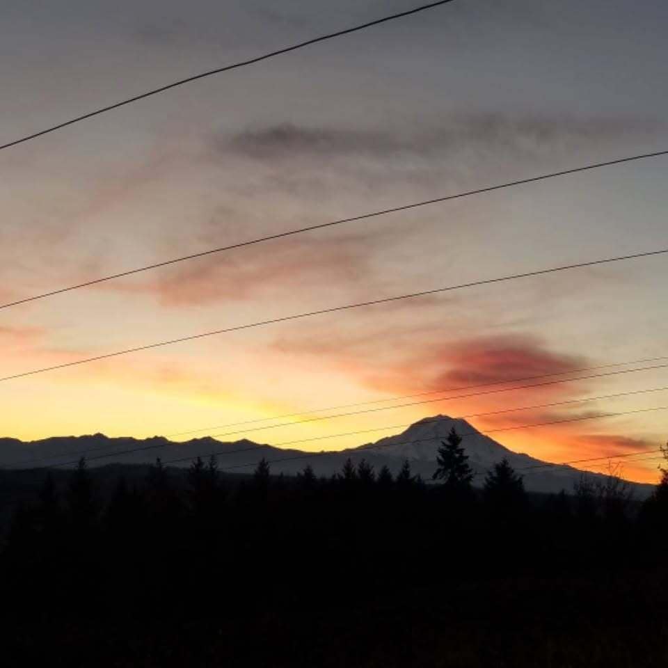 Backyard view - 10515 140th Avenue Ct E