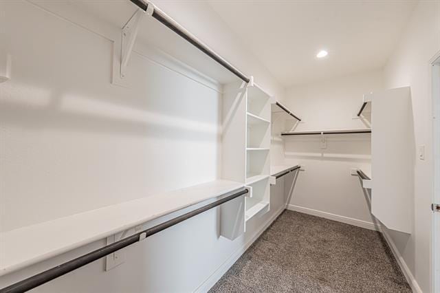 Building Photo - 209 Irish Moss Dr