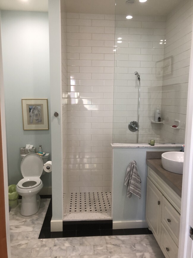 Master Bath - 14 E 1st St