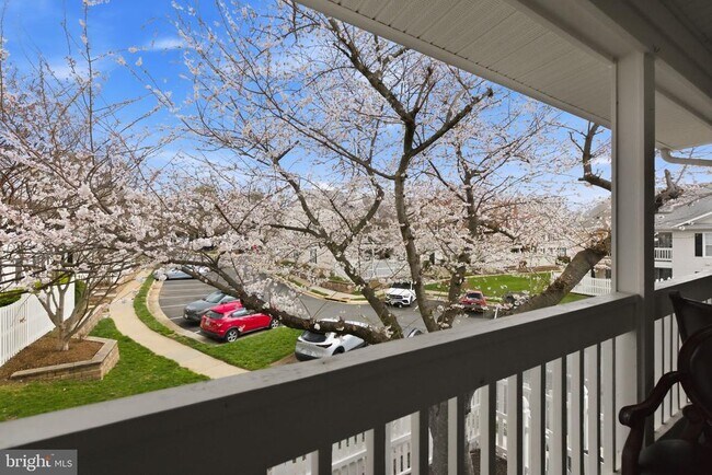 Building Photo - 10208 Ashbrooke Ct