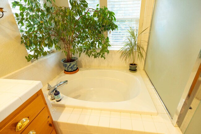 Building Photo - 115 Maybeck St