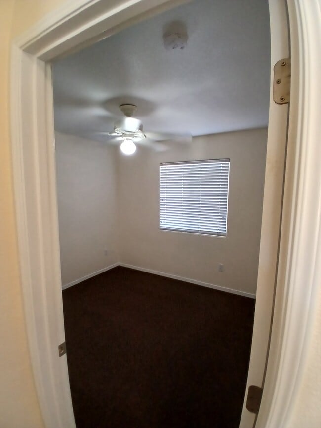 Building Photo - 1842 Santa Maria Ave