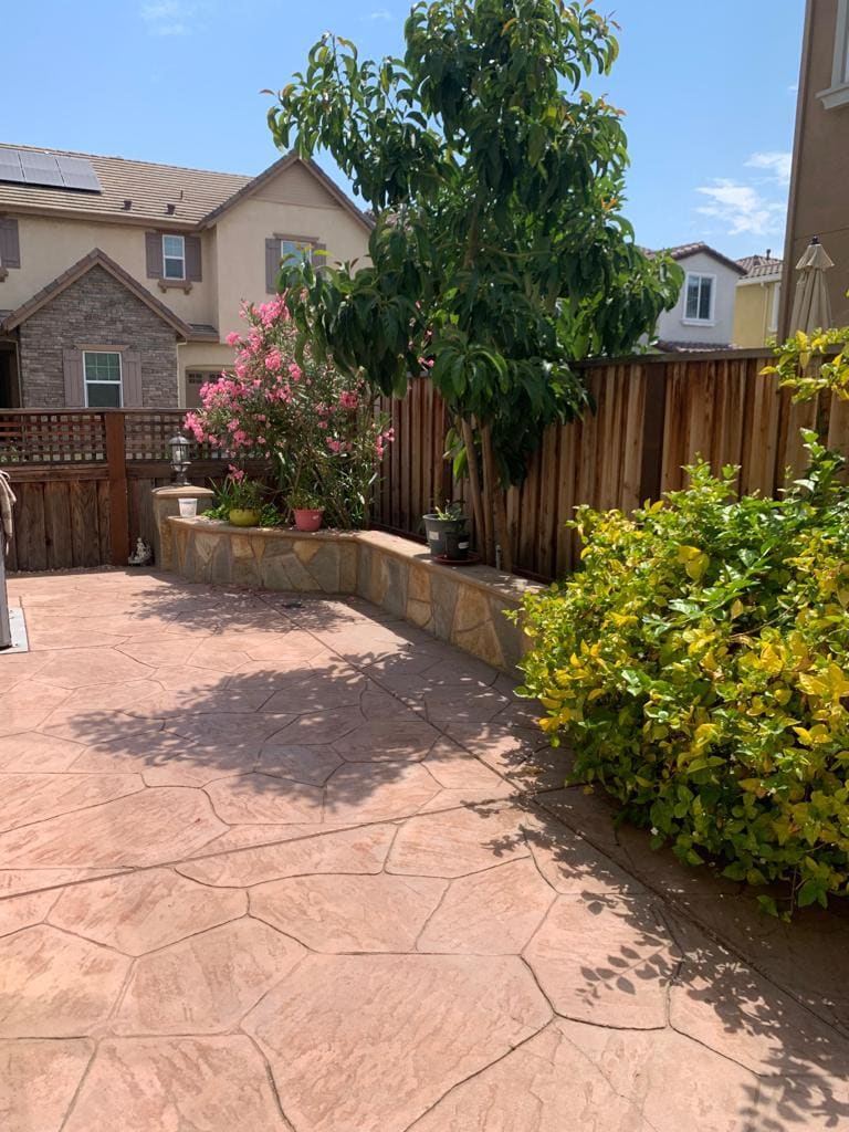 Backyard - 19 Chysis Rd