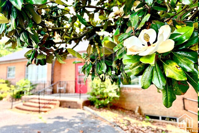 Building Photo - Mocksville