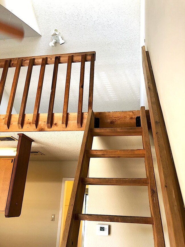 Building Photo - PEARL WEST CAMPUS - LOFTED 2BD/1BA