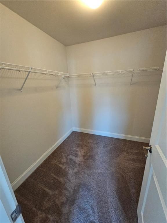 Building Photo - 5588 Terrace Bend Pl