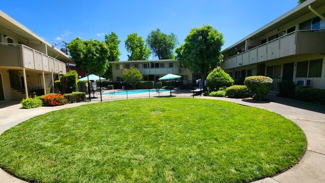 Building Photo - Palms Apartments