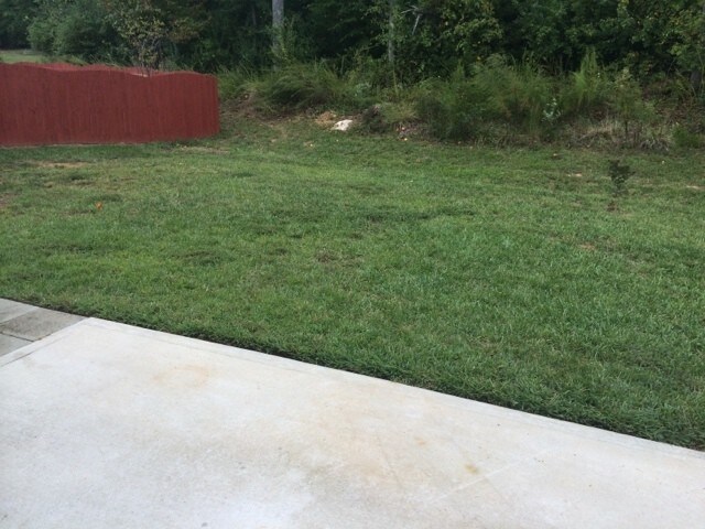 Building Photo - 2590 Leighswood Dr