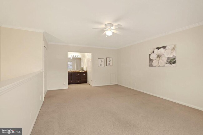 Building Photo - 10815 Hampton Mill Terrace