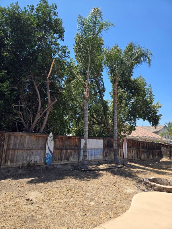 Building Photo - 421 Steiner Dr